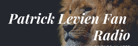 Banner von: Patrick Levien Fan Radio Banner von: Patrick Levien Fan Radio