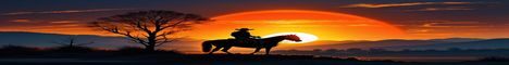 Banner von: Countrytime-Radio Banner von: Countrytime-Radio