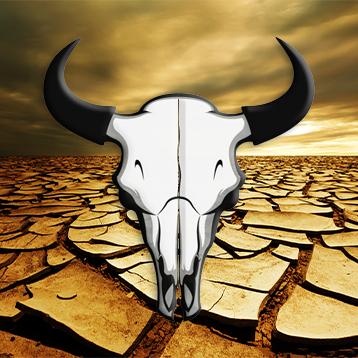 Banner von: dorfRock Banner von: dorfRock
